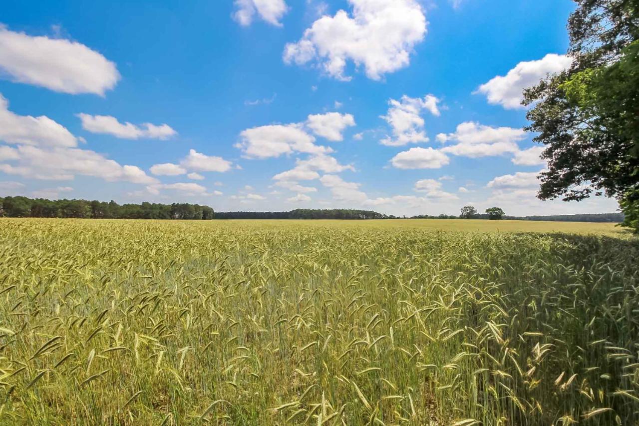 Landgut Voigtsmuehle Hotell Friedland  Exteriör bild
