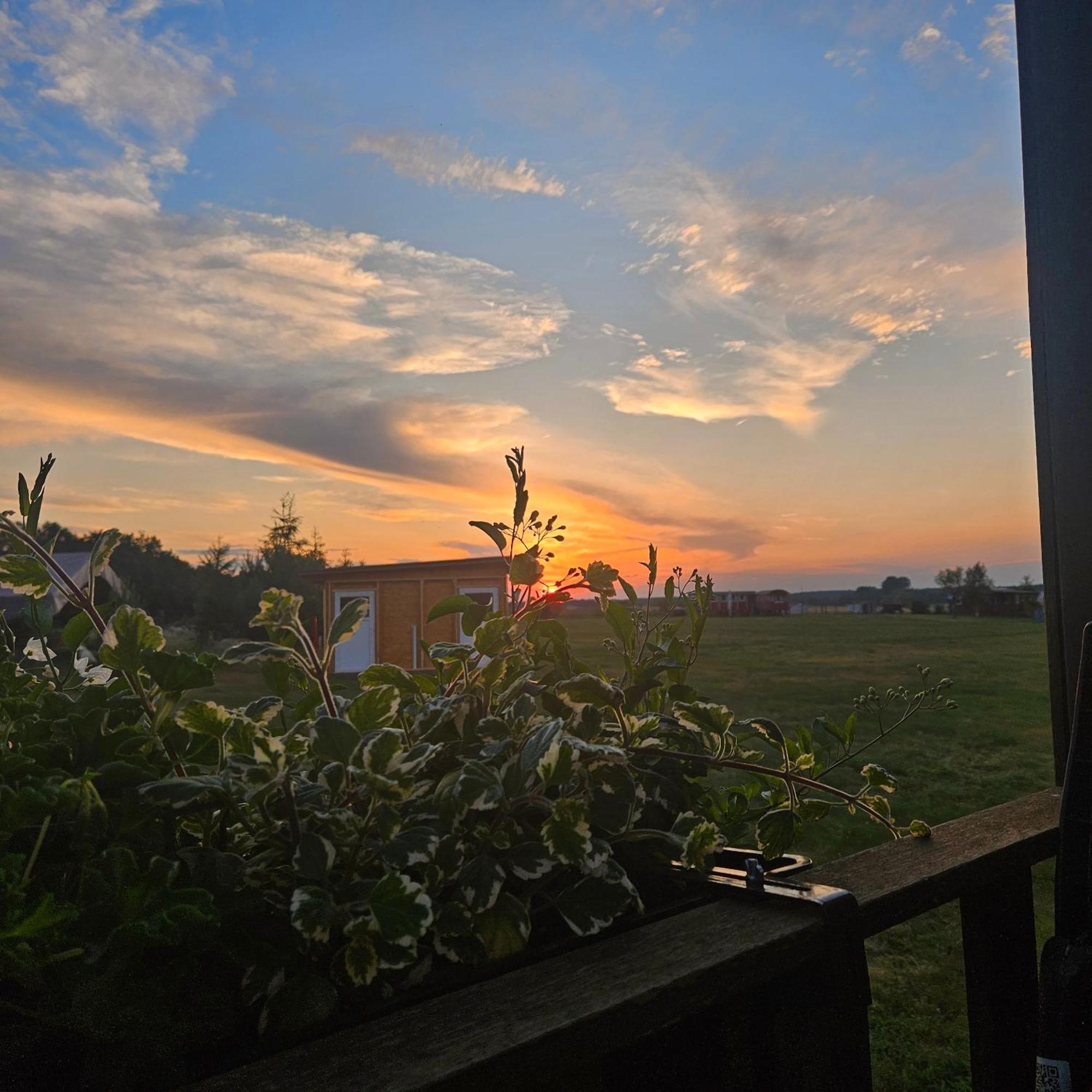 Landgut Voigtsmuehle Hotell Friedland  Exteriör bild