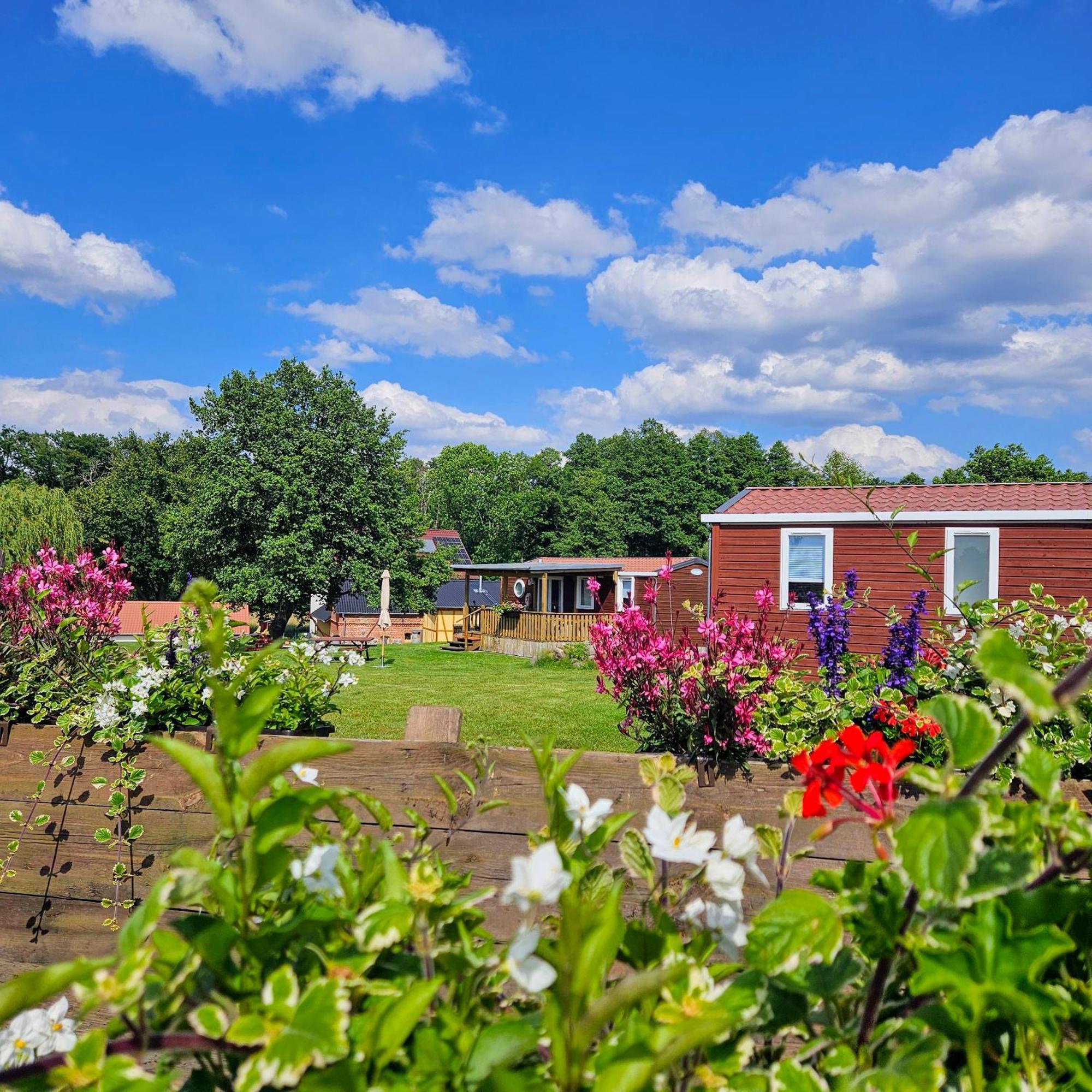 Landgut Voigtsmuehle Hotell Friedland  Exteriör bild