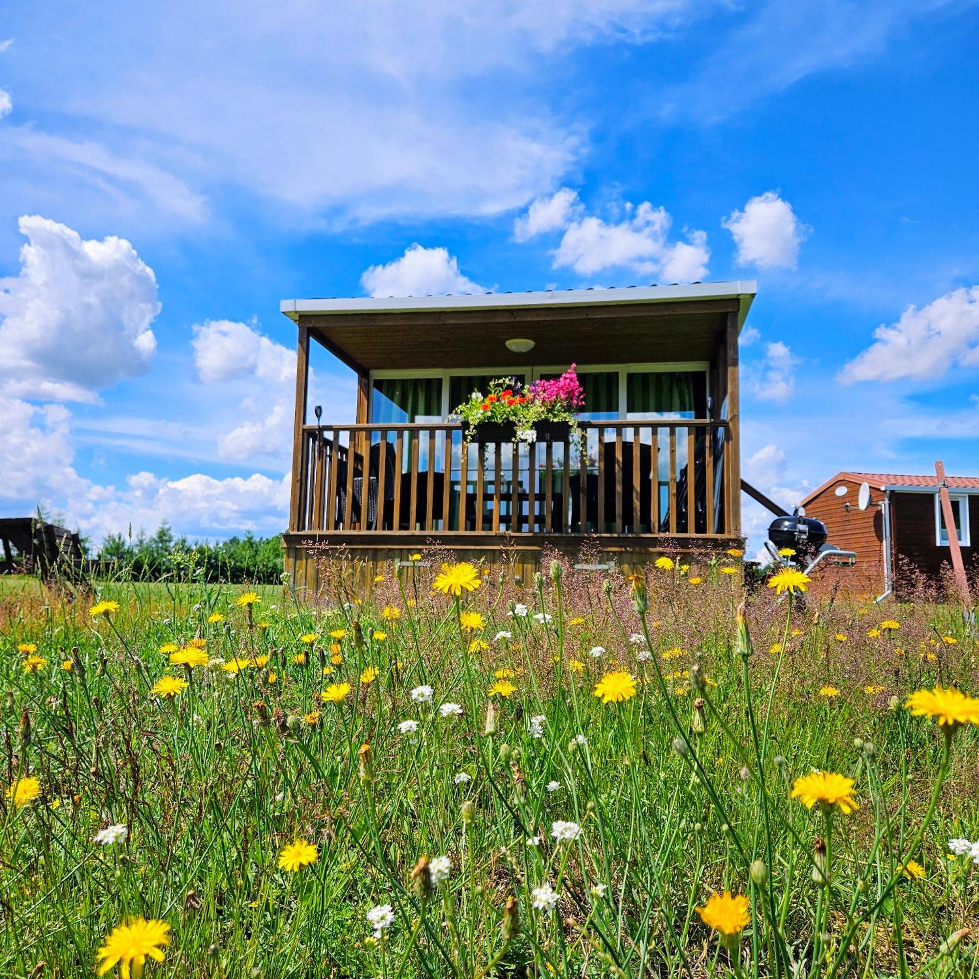 Landgut Voigtsmuehle Hotell Friedland  Exteriör bild