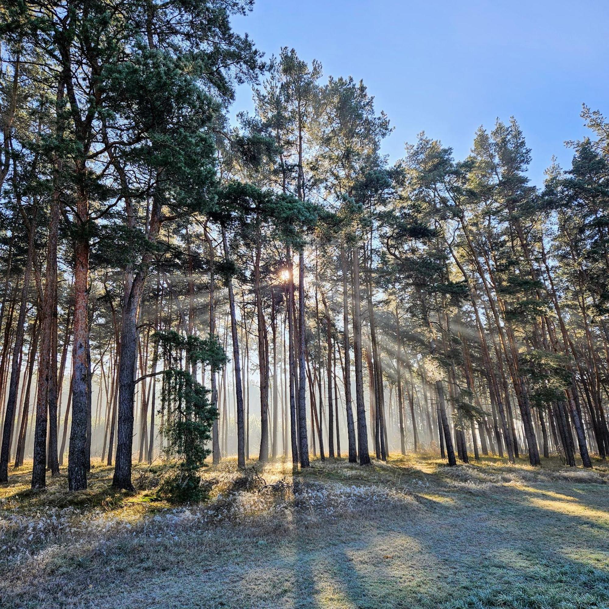 Landgut Voigtsmuehle Hotell Friedland  Exteriör bild