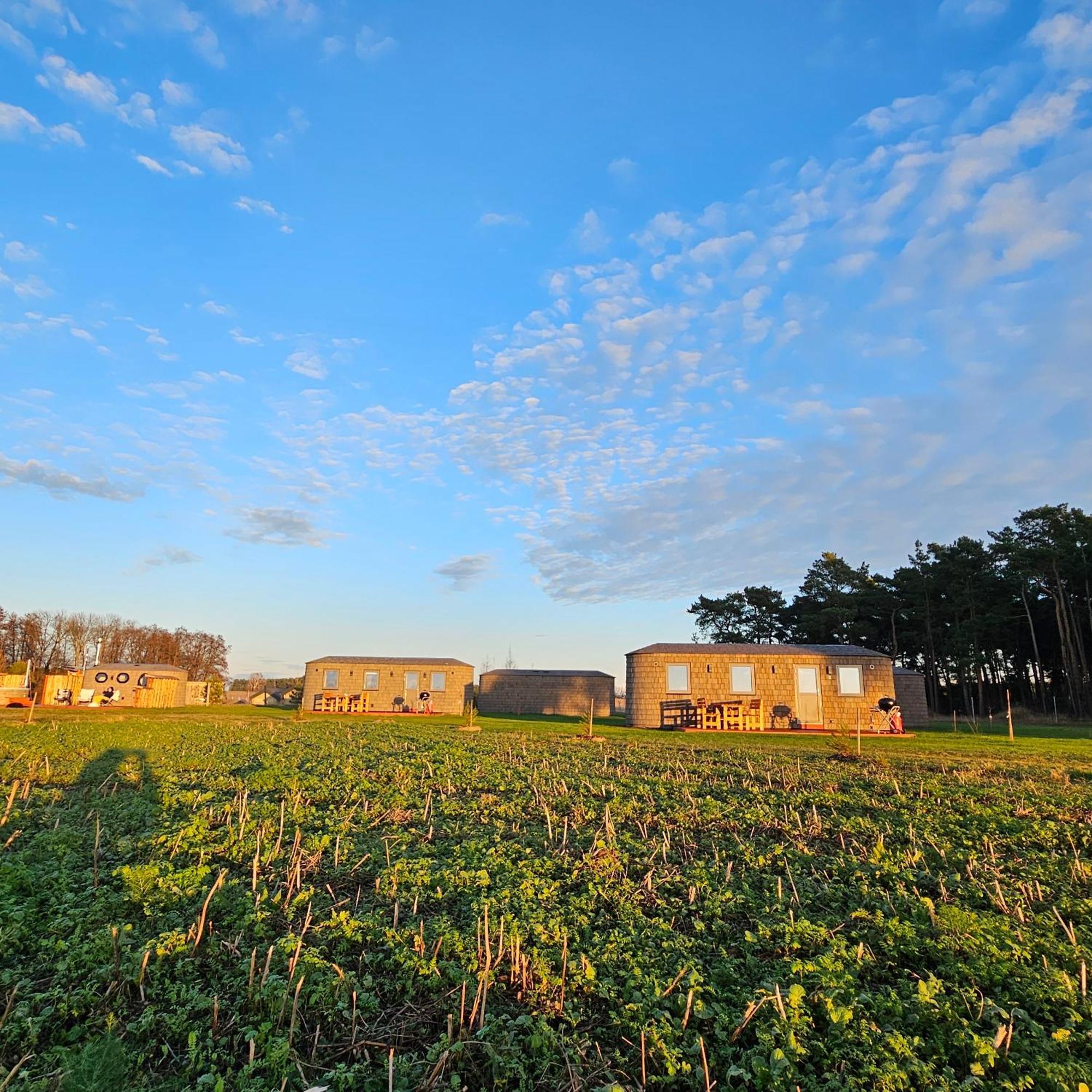 Landgut Voigtsmuehle Hotell Friedland  Exteriör bild